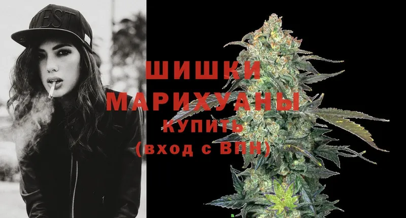 Конопля White Widow  где продают наркотики  Вязьма 